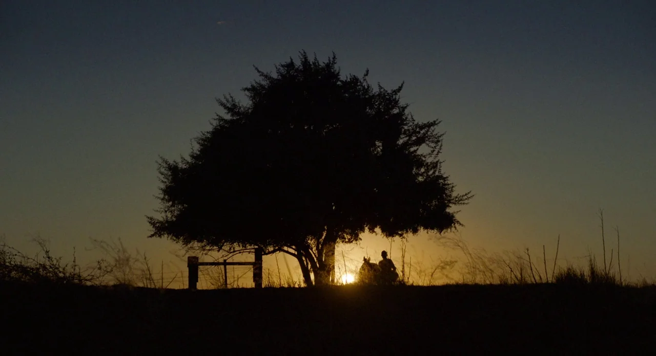 Lean on Pete (2017) movie still: wide — An open field at dusk features a large tree silhouetted against the bright horizon. A person mounted on a…
