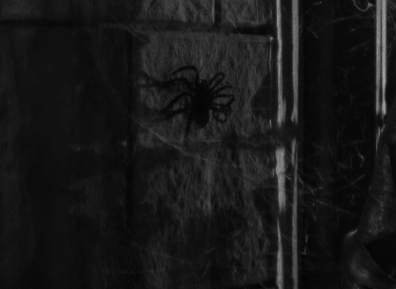 Mark of the Vampire (1935) movie still: closeup — A dark brick wall is covered in layers of thick, dusty spiderwebs. A single dark spider rests…