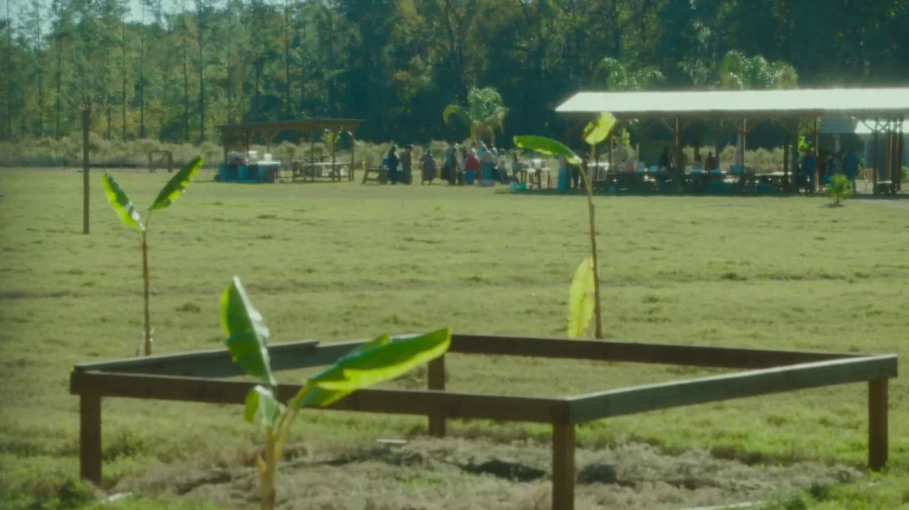 The Sacrament (2013) movie still: wide — An open grassy field contains young banana saplings and a low wooden framework. A group of people gathers…