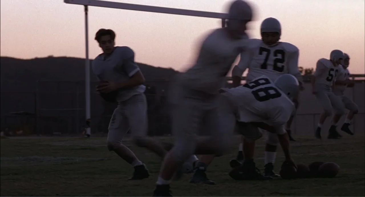 Wild Orchid II: Two Shades of Blue (1991) movie still: wide — A grassy sports practice field features distant hills under a pale sunset sky. Several…