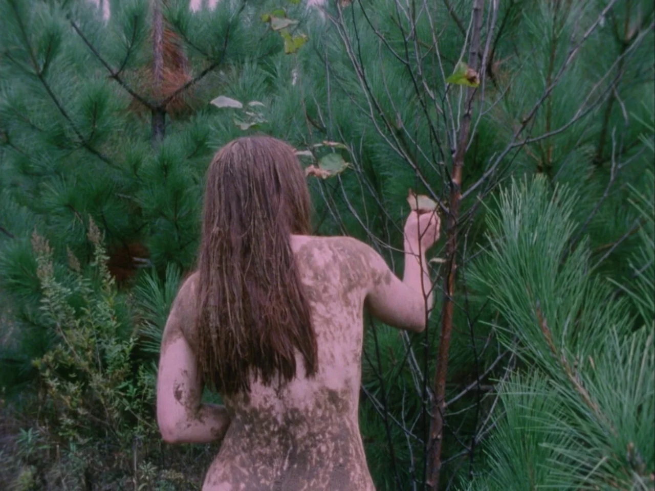 Subconscious Cruelty (2000) movie still: medium — A dense pine thicket provides a backdrop for a figure standing in the woods. A woman with…