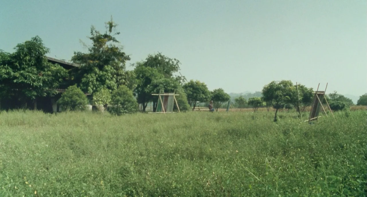 Uncle Boonme Who Can Recall His Past Lives (2010) movie still: wide — A rural expanse features tall wild grasses leading toward scattered trees and…