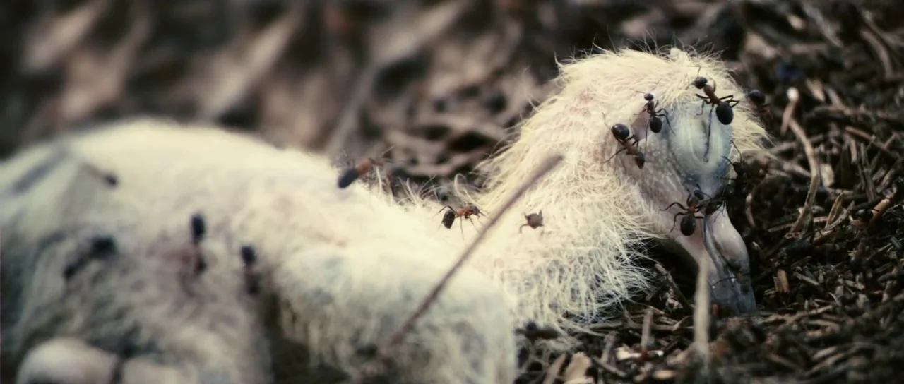 Antichrist (2009) movie still: closeup — A pile of dark twigs and debris houses the white, feathered body of a chick. Numerous ants swarm over the…