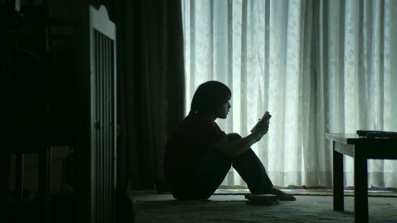 Confessions (2010) movie still: medium — A residential room features sheer curtains covering a window that casts light indoors. A person sits on the…