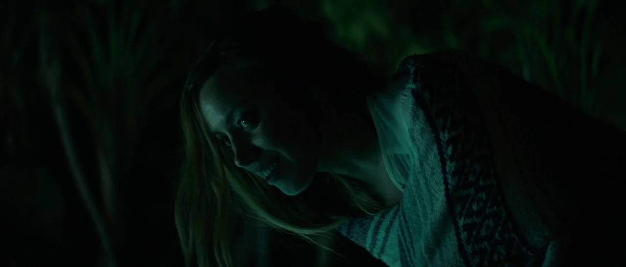 Ingrid Goes West (2017) movie still: closeup — Dense foliage at night obscures the background in deep shadows. A woman leans forward, illuminated by…