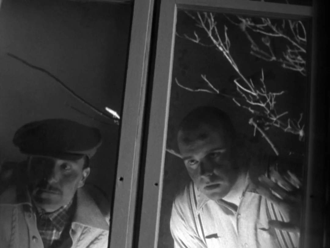 My Winnipeg (2007) movie still: medium — Two men peer through a divided glass windowpane into a dark night. The outdoor view shows bare tree…