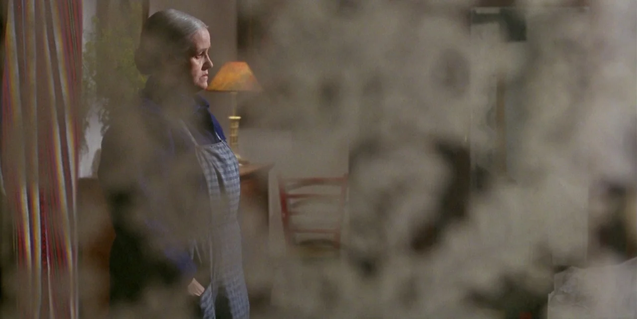 The Flower of My Secret (1995) movie still: medium — An interior space features an elderly woman standing in front of a lamp. She is partially…