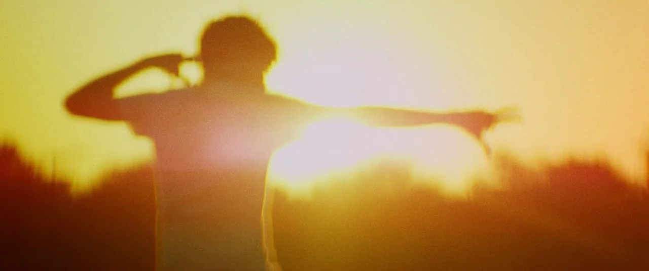 Kings Of Summer (2013) movie still: medium — A silhouette of a person stands in a grassy field during sunset. The individual holds their arms out to…