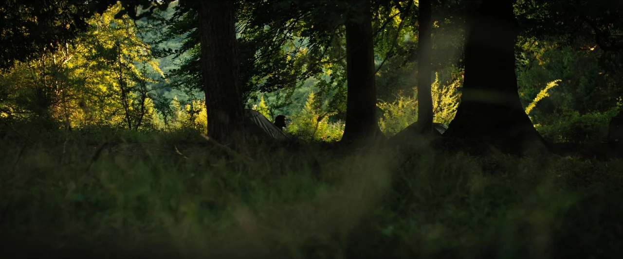 In The Earth (2021) movie still: wide — A dense patch of woodland with tall tree trunks and tall grass. A person is sitting inside a small,…