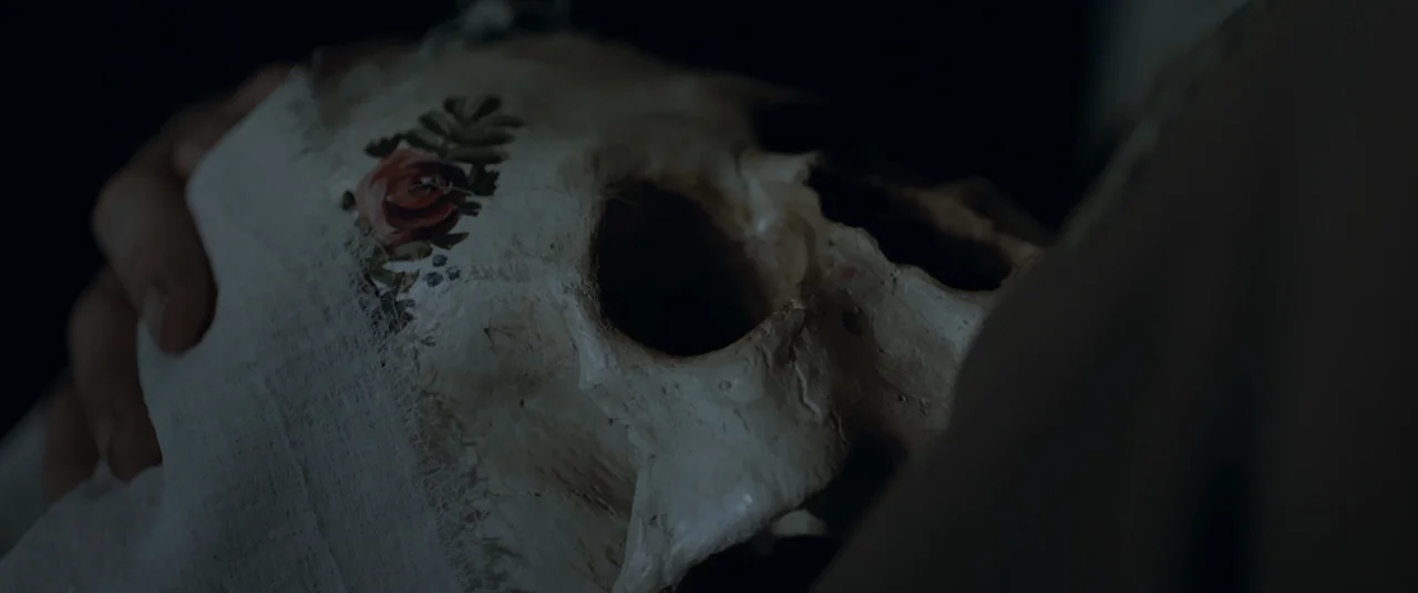 Hagazussa (2017) movie still: closeup — A human skull with decorative floral paintings on the cranium rests in darkness. Hands are partially visible…