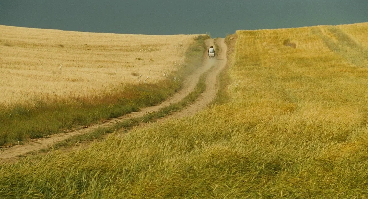 The Wind Will Carry Us (1999) movie still: wide — A vast expanse of golden wheat fields is split by a narrow dirt road. Two figures ride a small…
