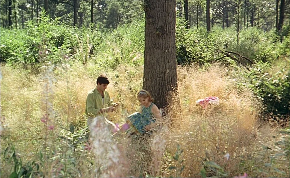 Le Bonheur (Happiness) (1965) movie still: wide — A man and woman sit on the grass beside a thick tree trunk in a clearing. Surrounding them is…