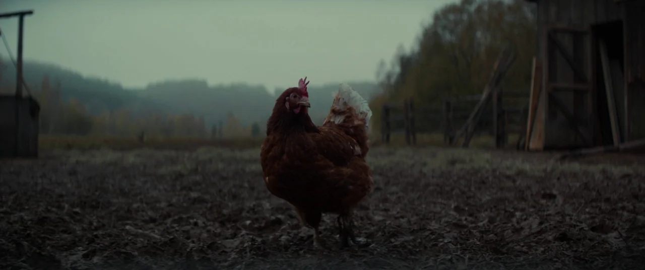Never Grow Old (2019) movie still: medium — A brown chicken stands in a muddy farmyard on an overcast, gray day. An old wooden shed and a fenced…