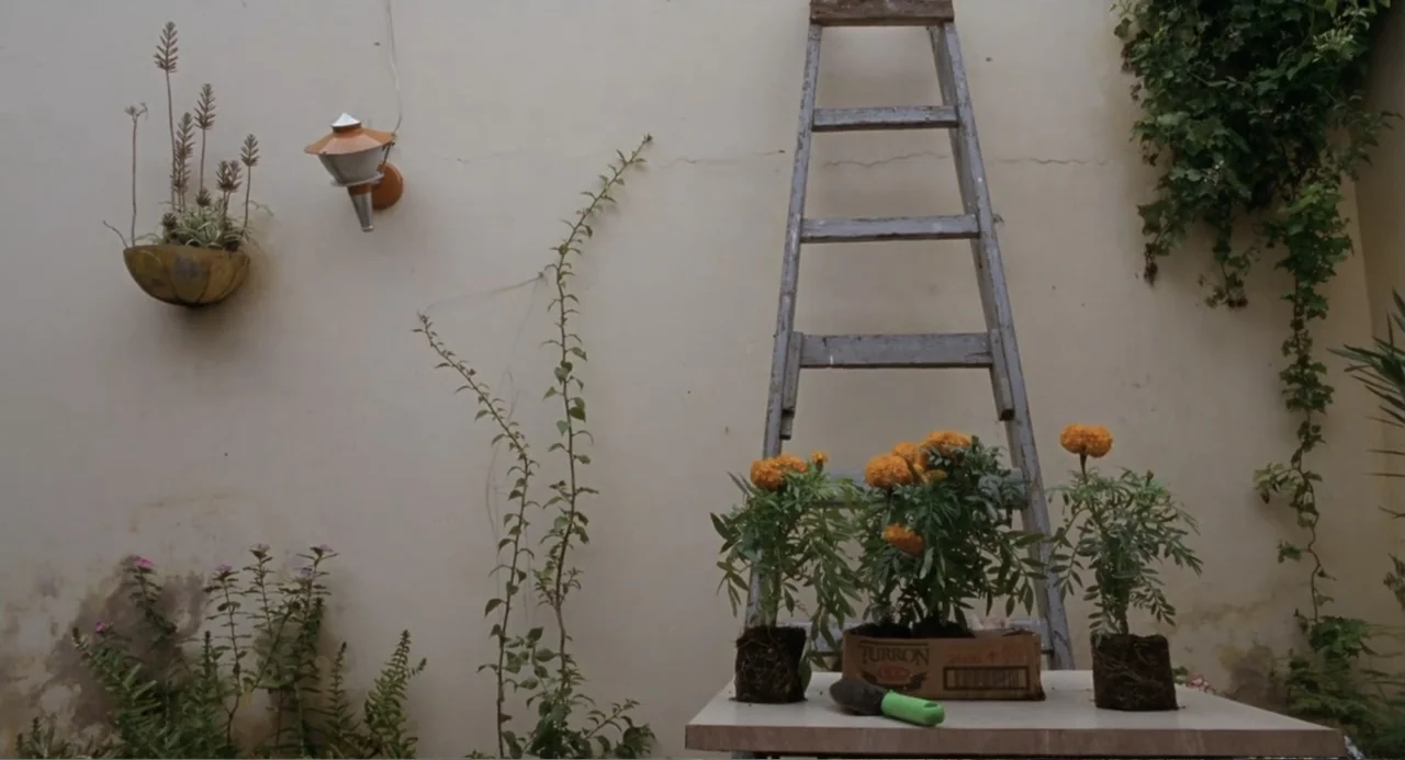 La Ciénaga (2001) movie still: wide — A light-colored stucco wall serves as a backdrop to a wooden ladder. Three small potted marigolds sit on a…