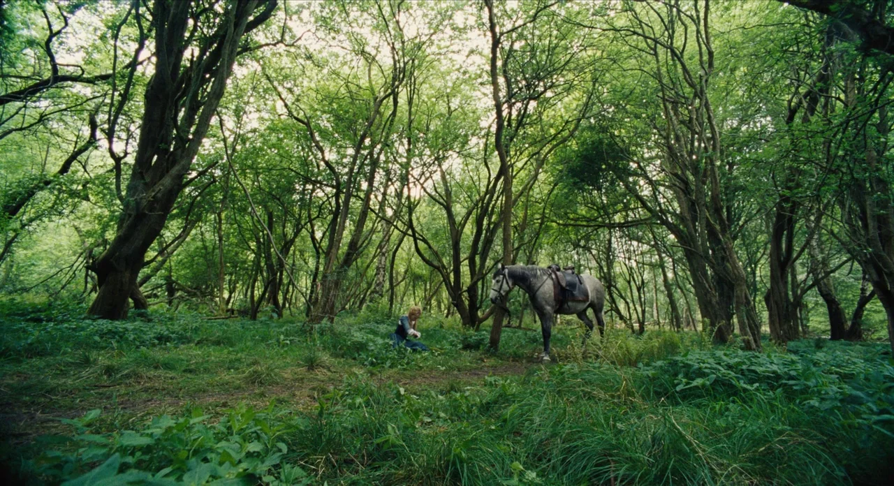 The Favourite (2018) movie still: wide — A dense green forest with tall trees and thick undergrowth fills the frame. A woman kneels in the grass…