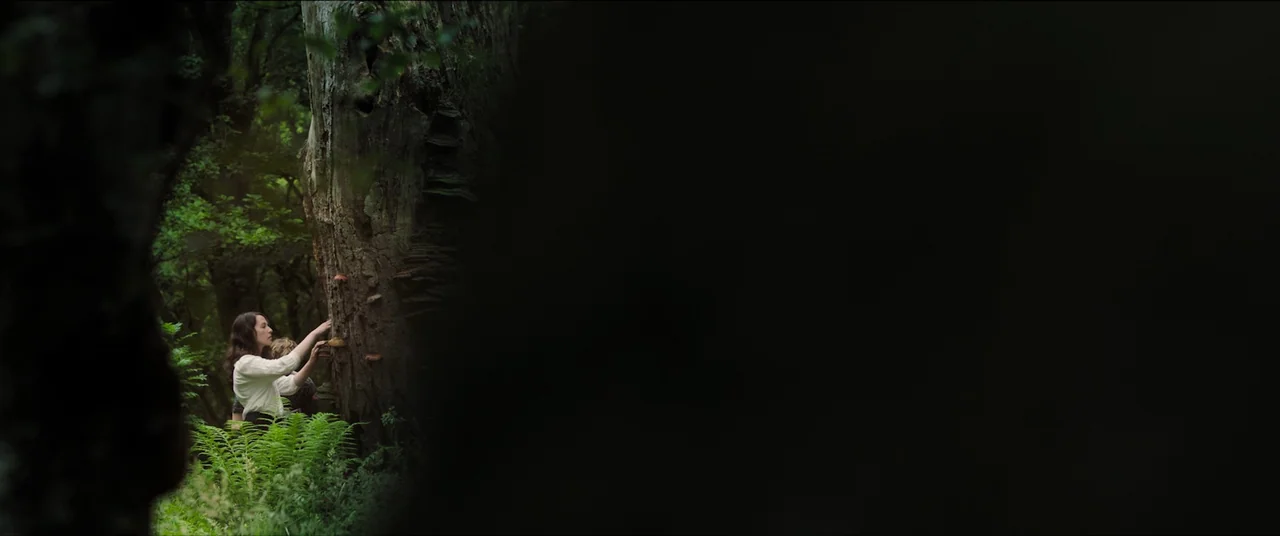 The Feast (2021) movie still: wide — A deep woodland setting features a massive old tree with prominent shelf mushrooms. A woman in a white shirt…