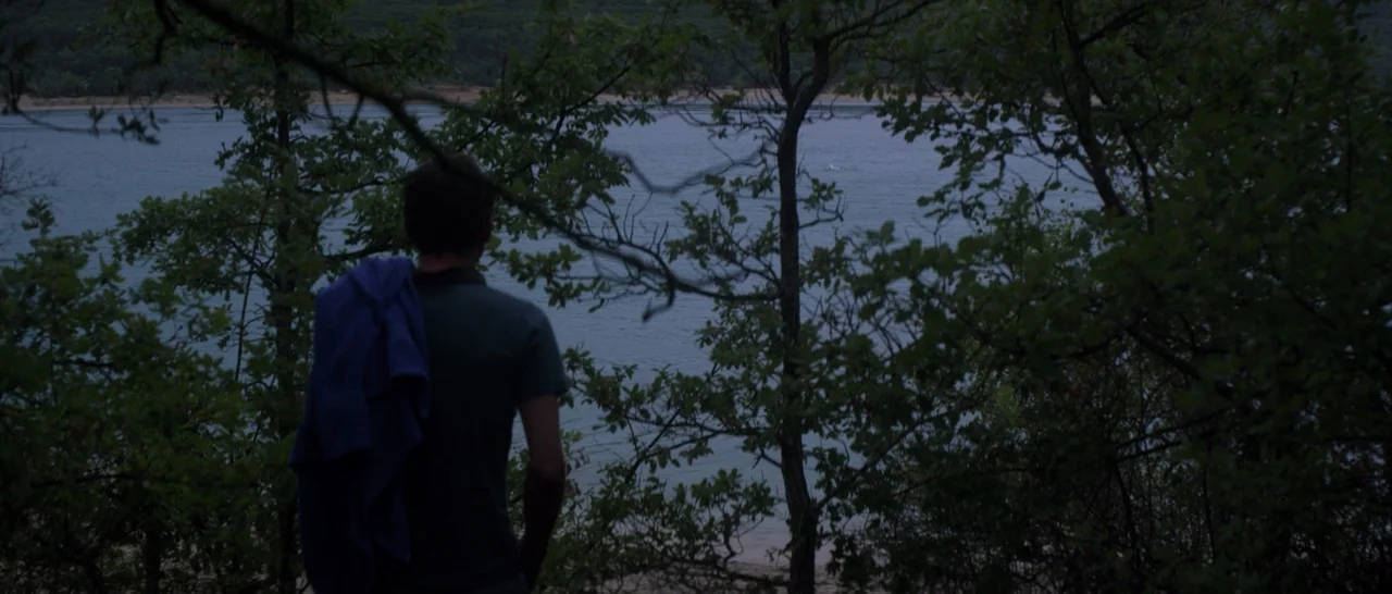 Stranger By The Lake (2013) movie still: medium — A man stands near the shore of a lake at dusk. He looks out over the dark water from behind a…