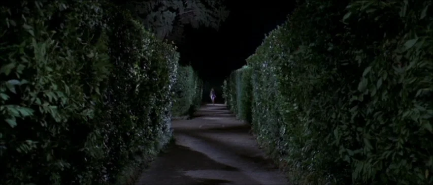 Four Flies On Grey Velvet (1971) movie still: wide — A narrow dirt path is flanked by towering, dense green hedges at night. The path disappears…
