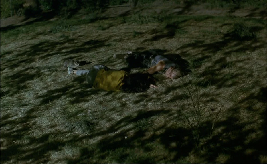 Les Amants Du Pont Neuf (The Lovers on the Bridge) (1991) movie still: wide — A grassy hillside is patterned with shadows from overhanging trees on…