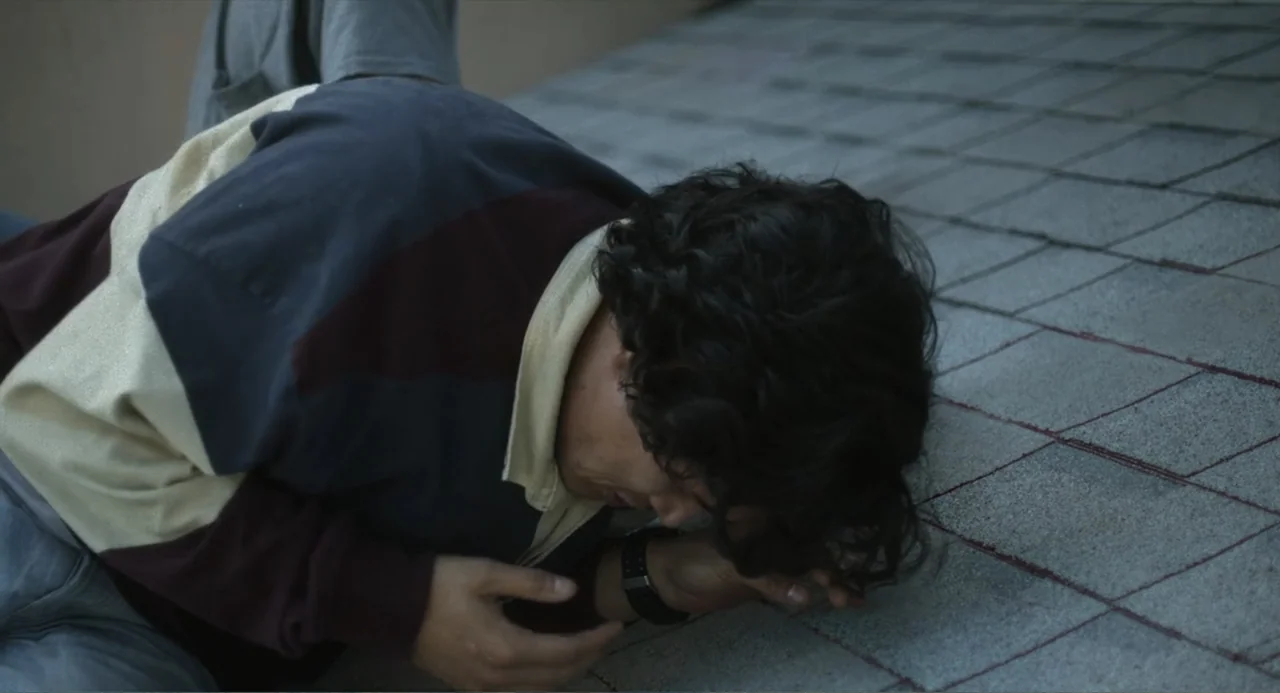 May December (2023) movie still: medium — A sloped residential rooftop covered in grey asphalt shingles sits under natural daylight. A young man…