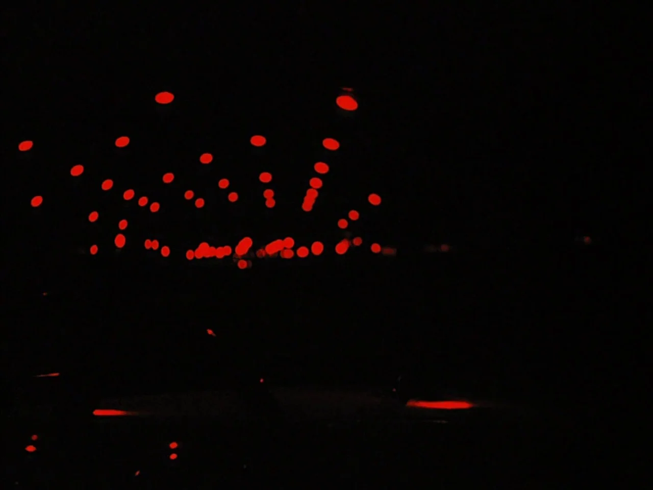 Black Orpheus (1959) movie still: establishing — A dark night view of a road surface with blurry red taillights ahead. The lights are arranged in…