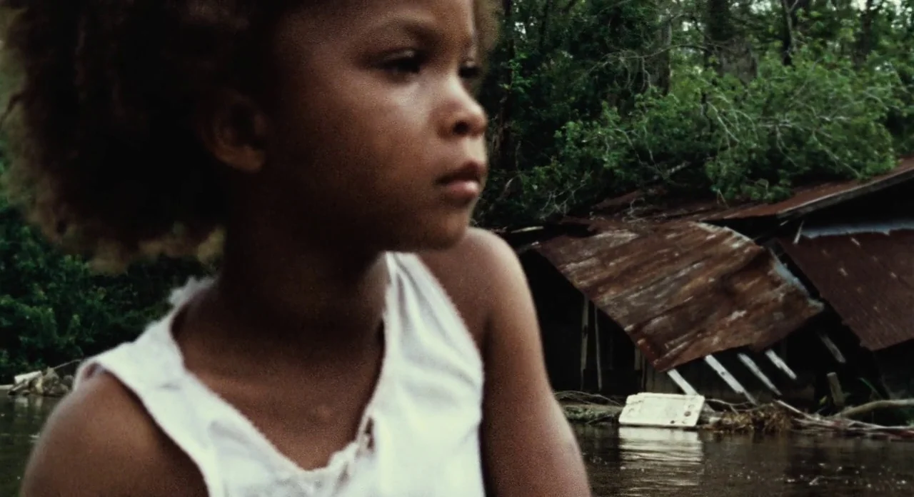 Beasts Of The Southern Wild (2012) movie still: closeup — A rural bayou setting features a decaying wooden structure partially submerged in dark…