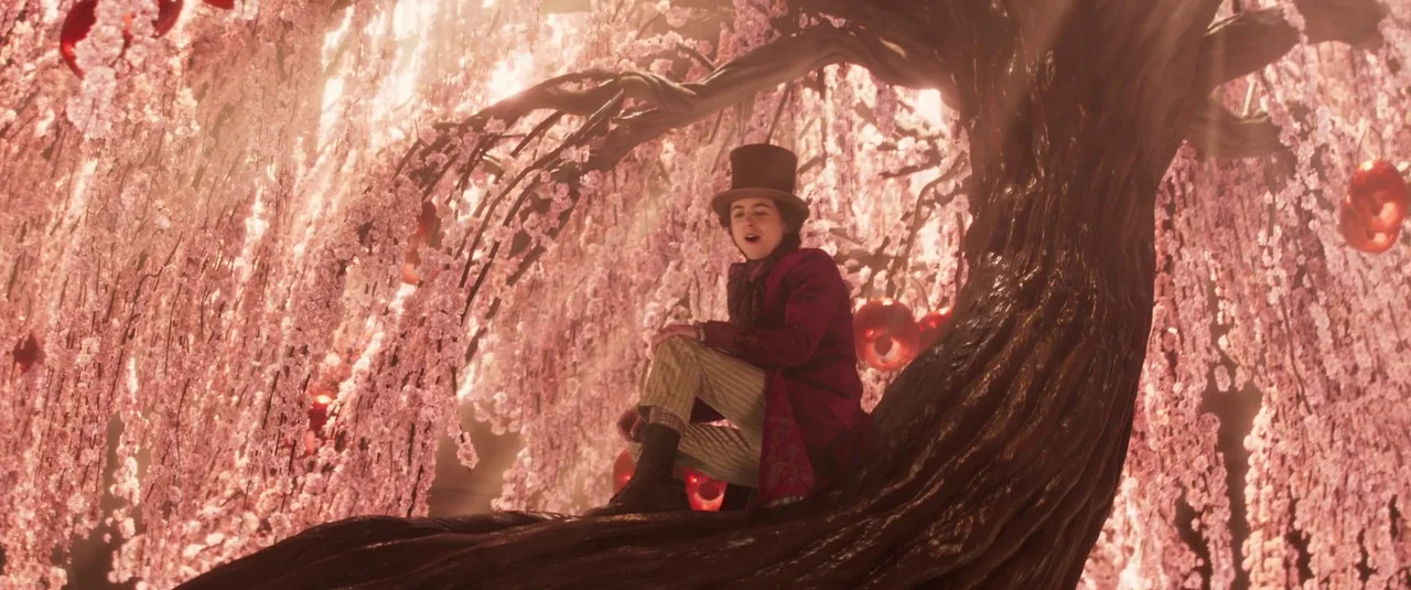 Wonka (2023) movie still: medium — A man sits on the thick wooden branch of a tree covered in pink flowers. Numerous red glass ornaments hang from…