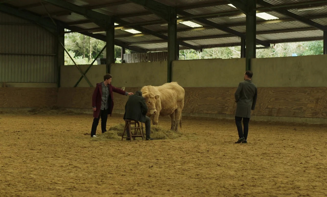 It Is In Us All (2022) movie still: wide — A spacious, sandy-floored indoor arena features metal rafters and high-mounted horizontal skylights.…
