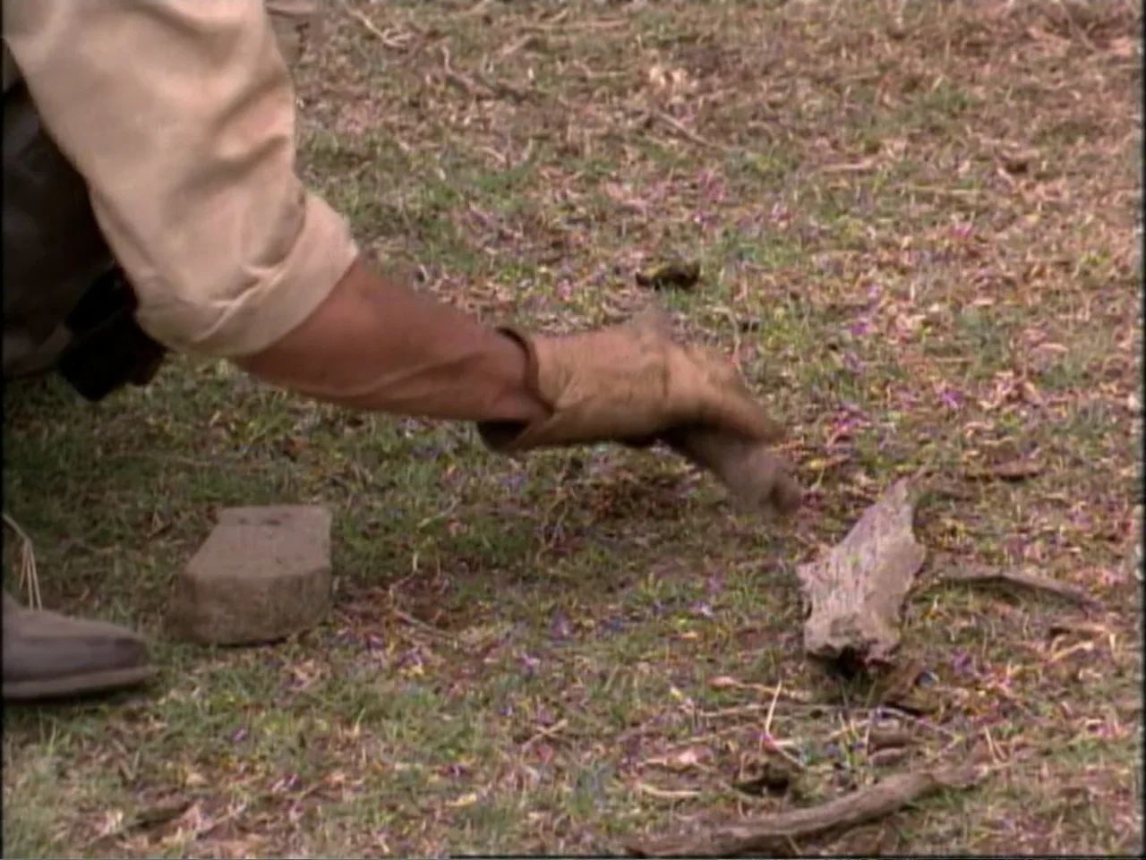 In Pursuit of Honor (1995) movie still: closeup — A grassy field with sparse purple flowers and weathered bone fragments on the ground. A person…