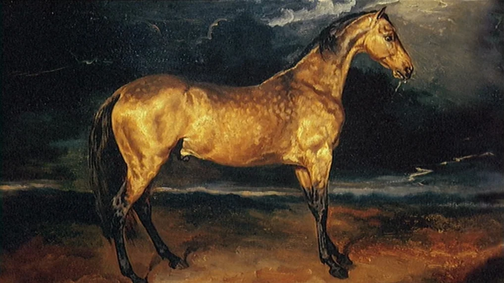 Battle In Heaven (2005) movie still: fullbody — A dark, stormy field provides a backdrop for a single horse standing under clouds. The horse faces…