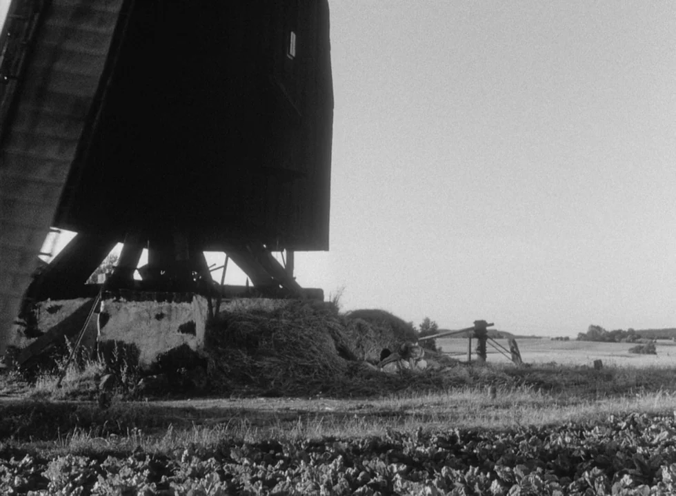 Smiles Of A Summer Night (1955) movie still: wide — A rural setting features a large dark wooden windmill structure towering over dry hay. Flat open…
