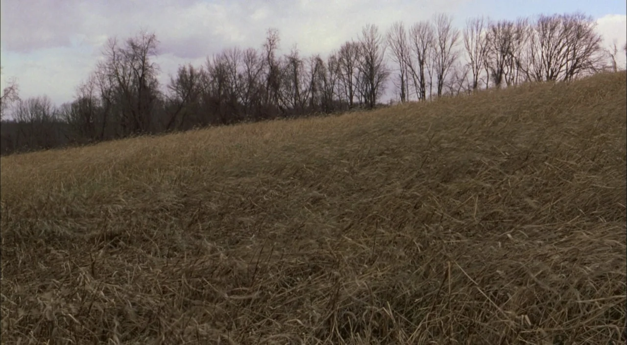 The Village (2004) movie still: establishing — An open field of dry, withered grass stretches towards a line of bare trees. A cloudy, overcast sky…