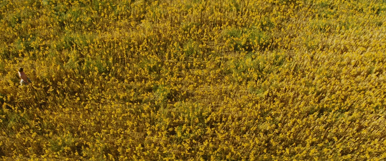 Bad Times at the El Royale (2018) movie still: wide — A dense field of tall yellow wildflowers fills the entire frame. A lone person walks through…