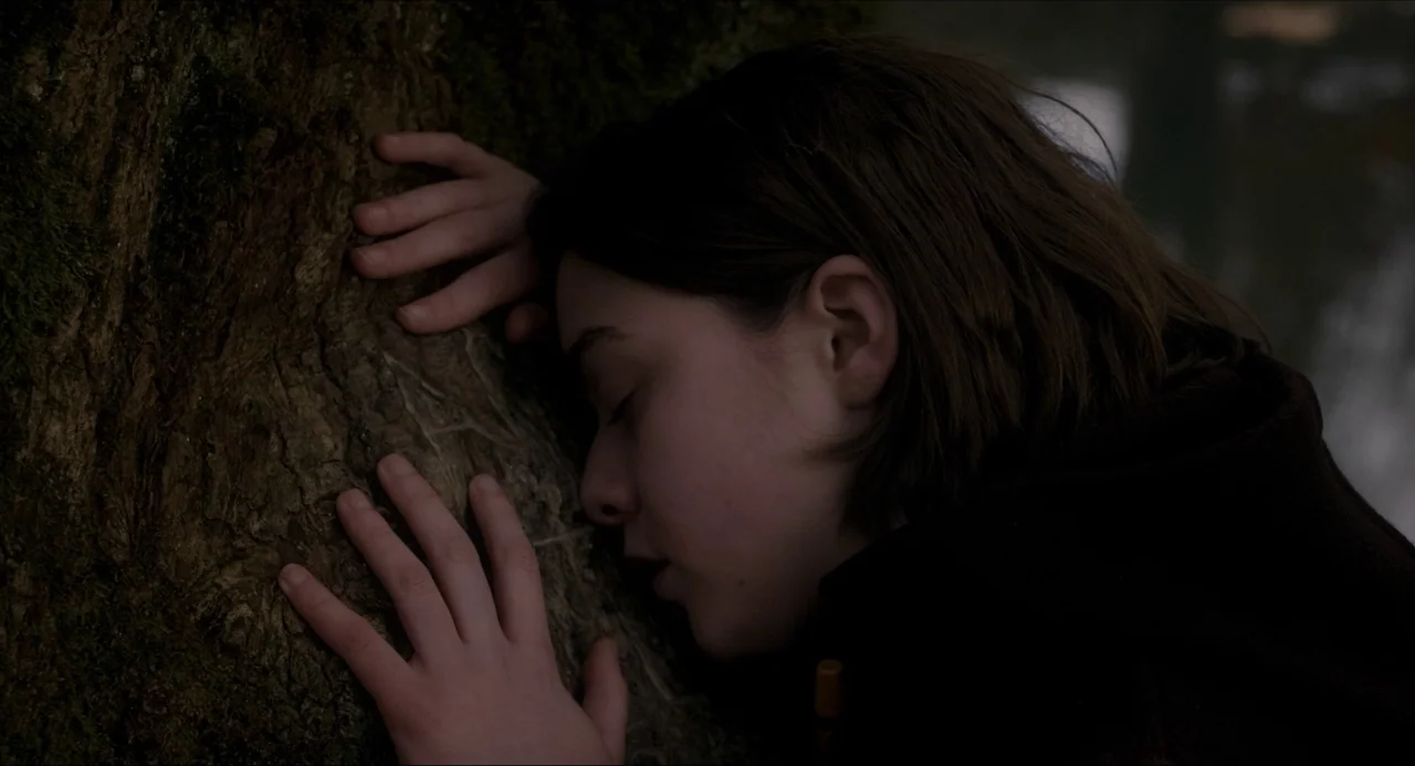 The Falling movie still: closeup — The rough bark of an old tree surface textured with moss. A young person presses their face and hands firmly…