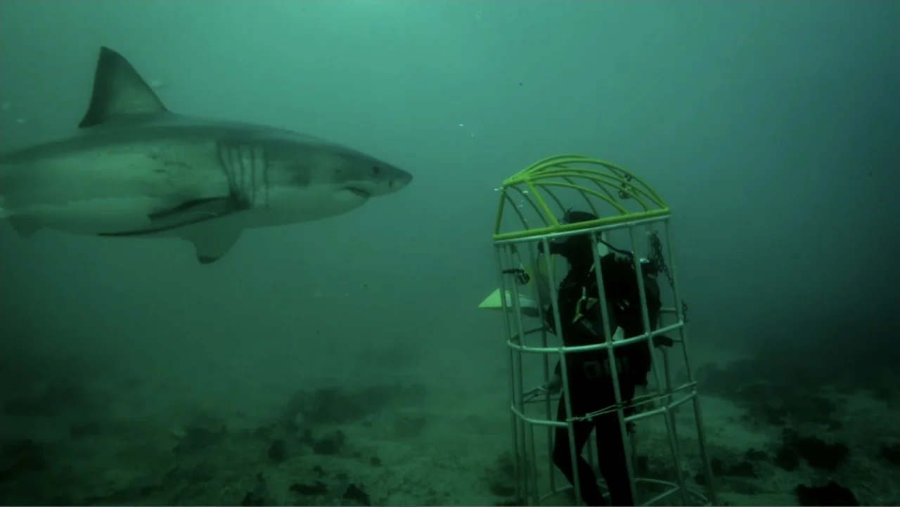 Air Jaws: Night Stalker (2016) movie still: wide — An underwater shot shows a murky seabed with a diver inside a shark cage. A large shark swims in…