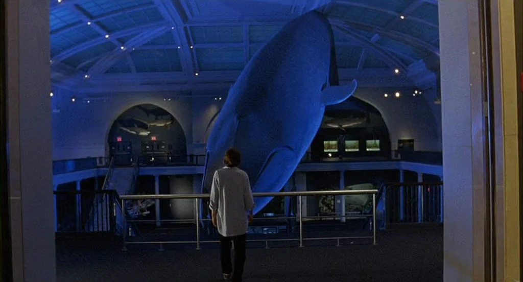 The Squid and the Whale (2005) movie still: fullbody — A high-ceilinged museum hall features a massive blue whale model suspended over walkways. A…