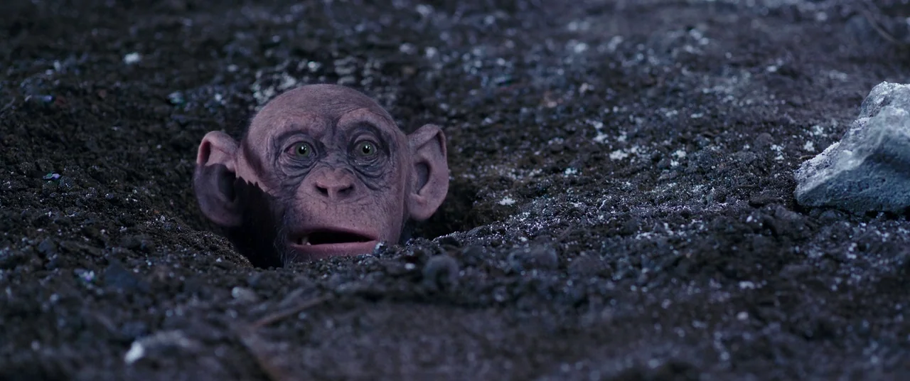 War for the Planet of the Apes (2017) movie still: closeup — A dark, textured patch of loose soil and dirt fills the frame. A young chimpanzee face…