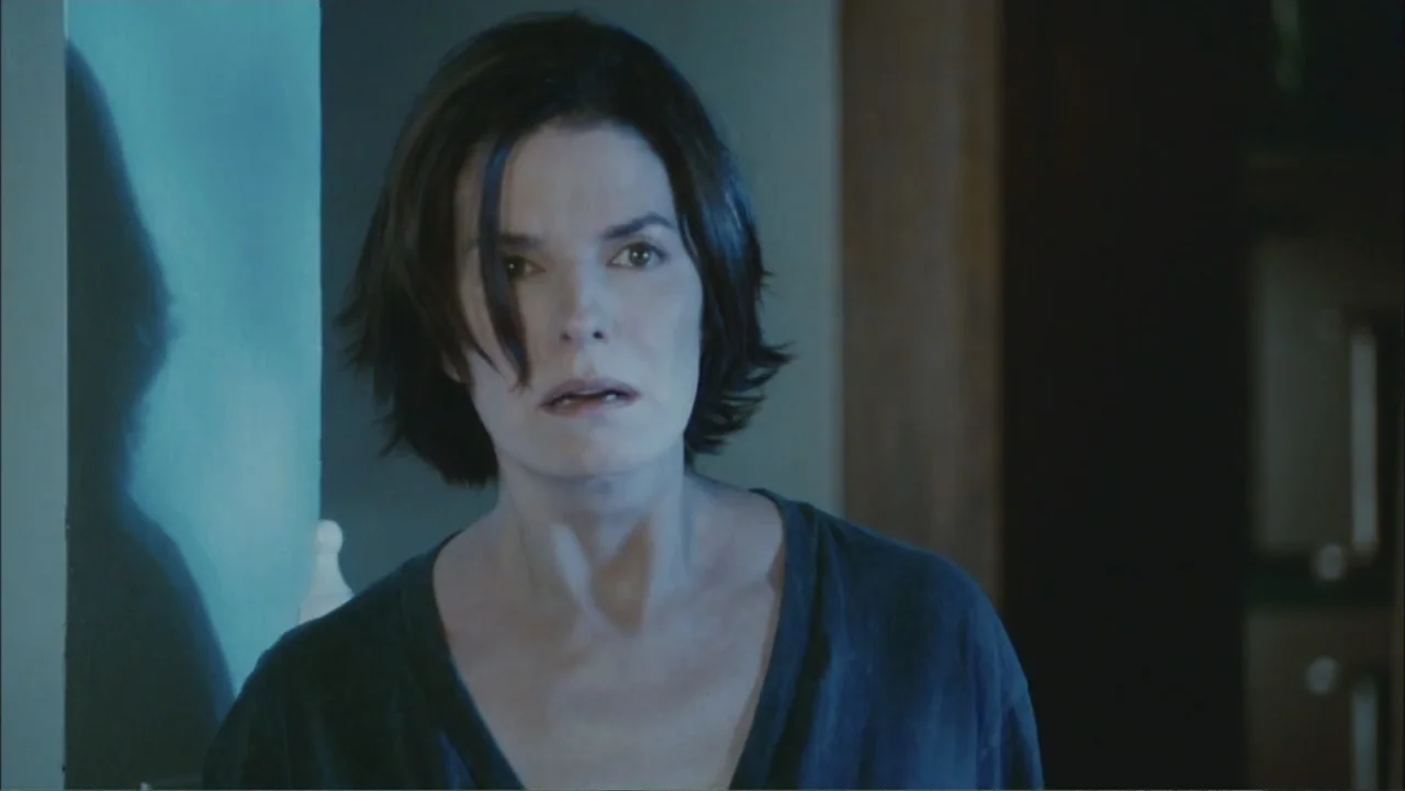 The Stepfather (2009) movie still: closeup — A dimly lit indoor space features a dark wall and a blue-lit area. A middle-aged woman with dark hair…