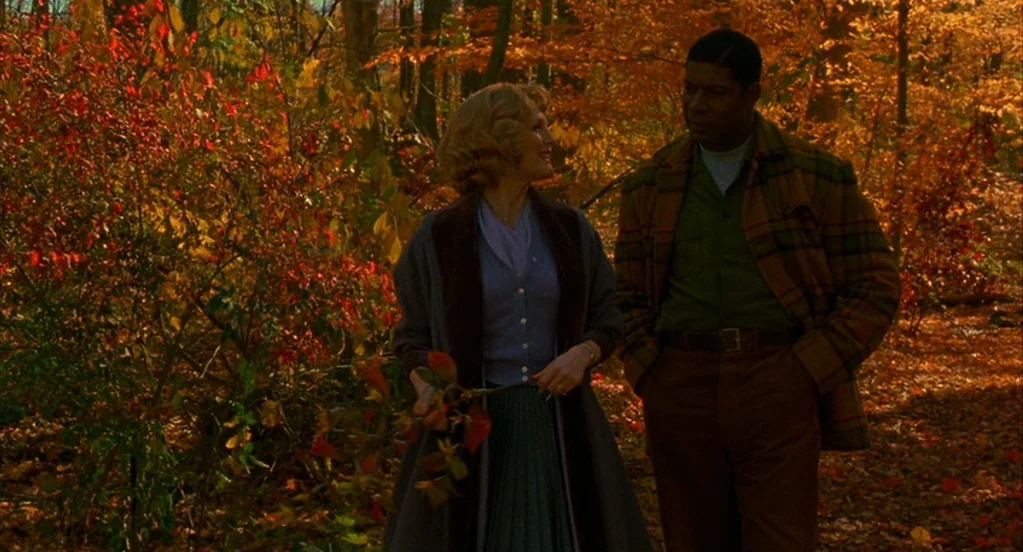Far From Heaven (2002) movie still: fullbody — A dense woodland clearing filled with vibrant, decaying autumn leaves covers the damp ground. A woman…