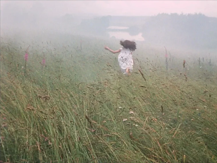 Valerie & Her Week of Wonders (1970) movie still: wide — A grassy hill is obscured by thick morning mist with tall wildflowers scattered throughout.…