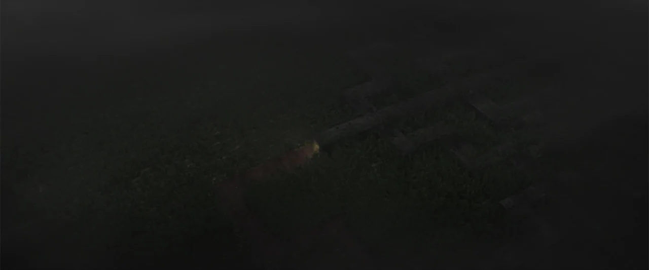 Treblinka's Last Witness (2012) movie still: establishing — A dark, densely vegetated path is illuminated by a single headlight at night. A car…
