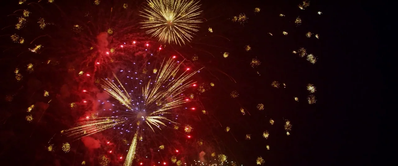 Kings Of Summer (2013) movie still: establishing — A black night sky fills the frame during a public fireworks display. Multiple golden and red…