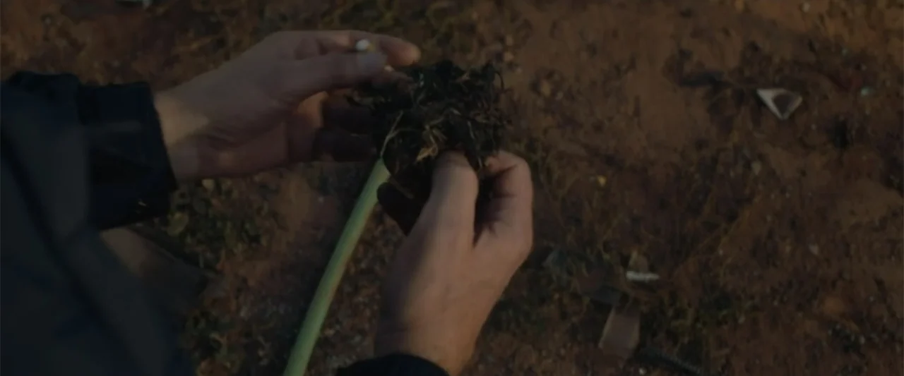A Small Fortune (2021) movie still: closeup — An exterior patch of arid earth shows sparse vegetation and scattered dry debris. A pair of hands in a…