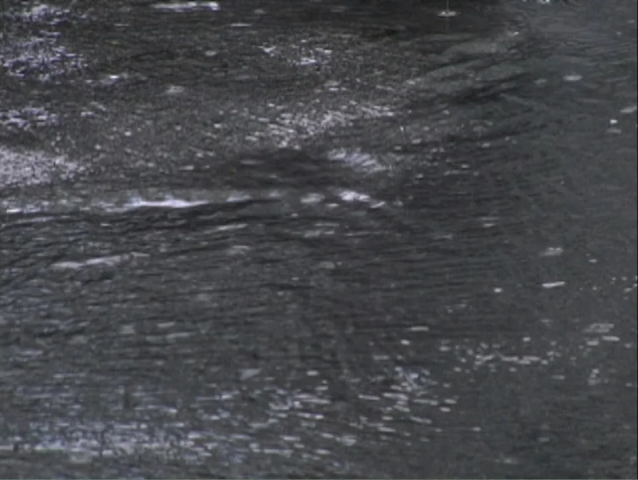 All Aboard! Rosie's Family Cruise (2006) movie still: establishing — An expanse of wet asphalt during a rainstorm at night. Raindrops strike the…