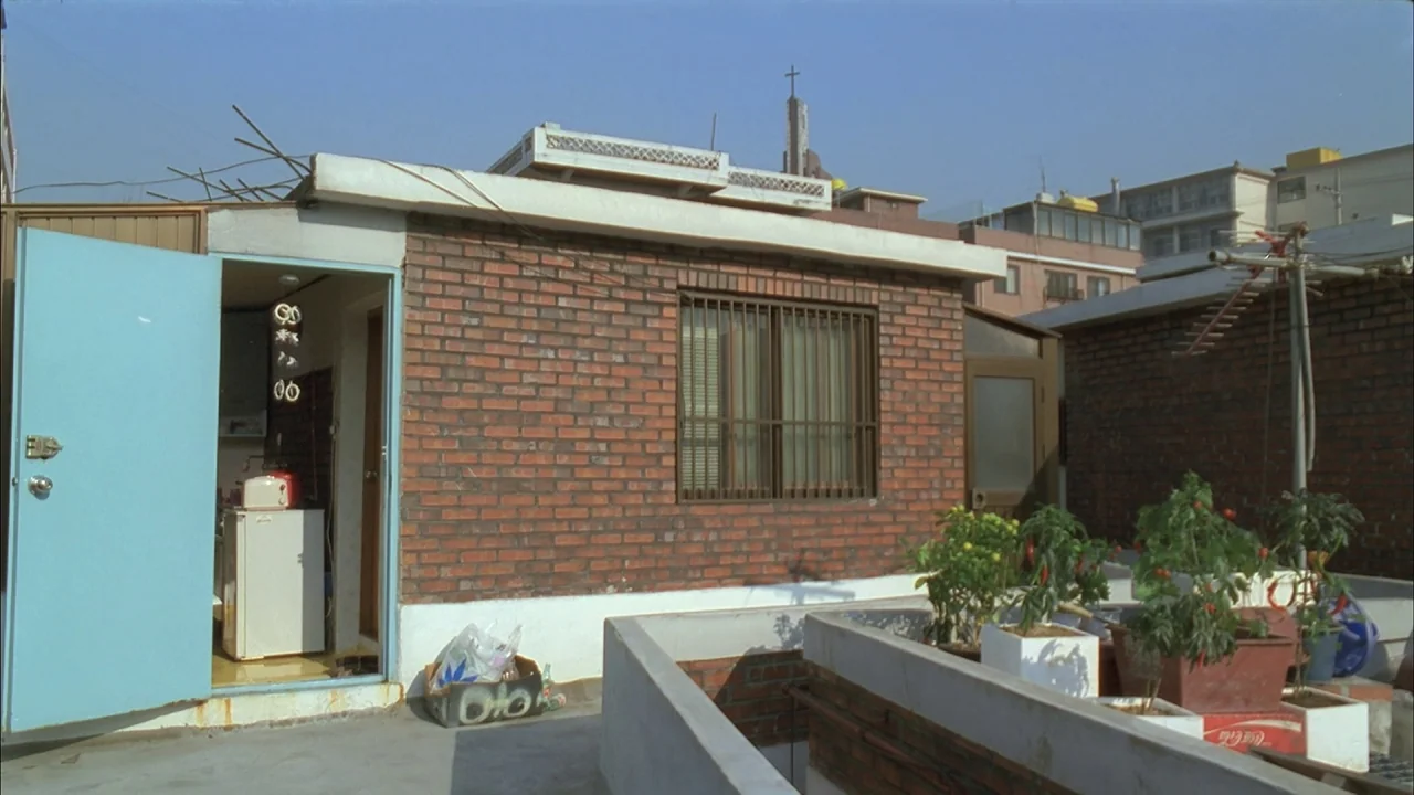 The Day a Pig Fell Into the Well (1996) movie still: wide — A rooftop terrace featuring a small brick dwelling with an open light blue door. Several…