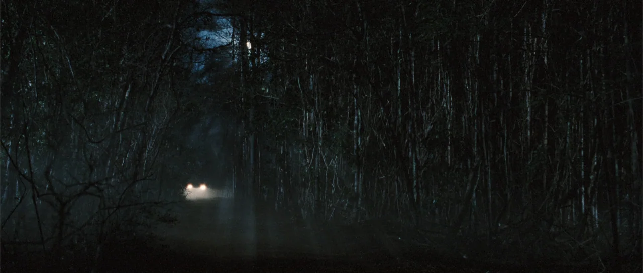 The New Daughter (2009) movie still: establishing — A dense forest borders a dark road at night with tall trees and foliage. Two bright car…