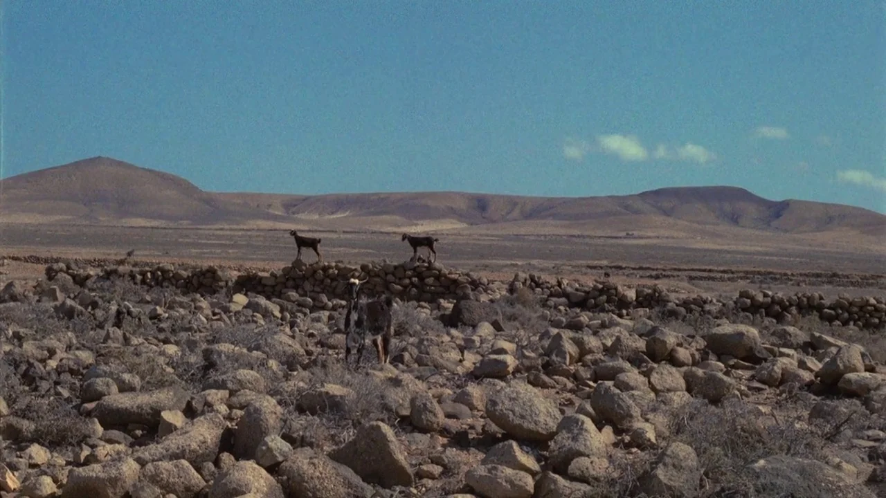 Dorian Gray in the Mirror of the Yellow Press (1984) movie still: wide — A vast, arid desert landscape features scattered rocks and low dry shrubs.…