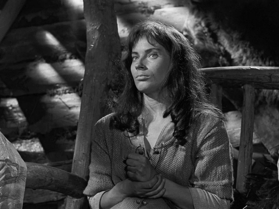 The Virgin Spring (1960) movie still: medium — The interior of a wooden log cabin features dark, textured logs in the background. A woman sits in…