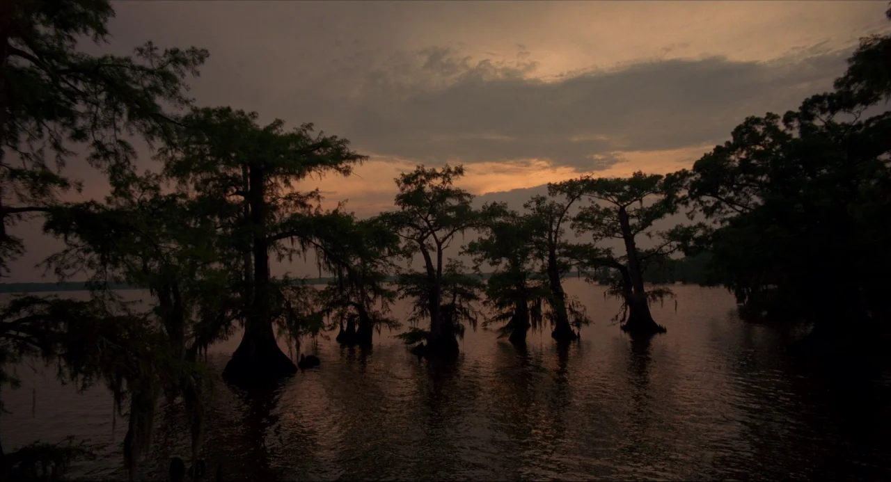 Voyage of Time (2016) movie still: establishing — A dark swamp filled with cypress trees stands against a dim sunset sky. The trees are silhouettes…