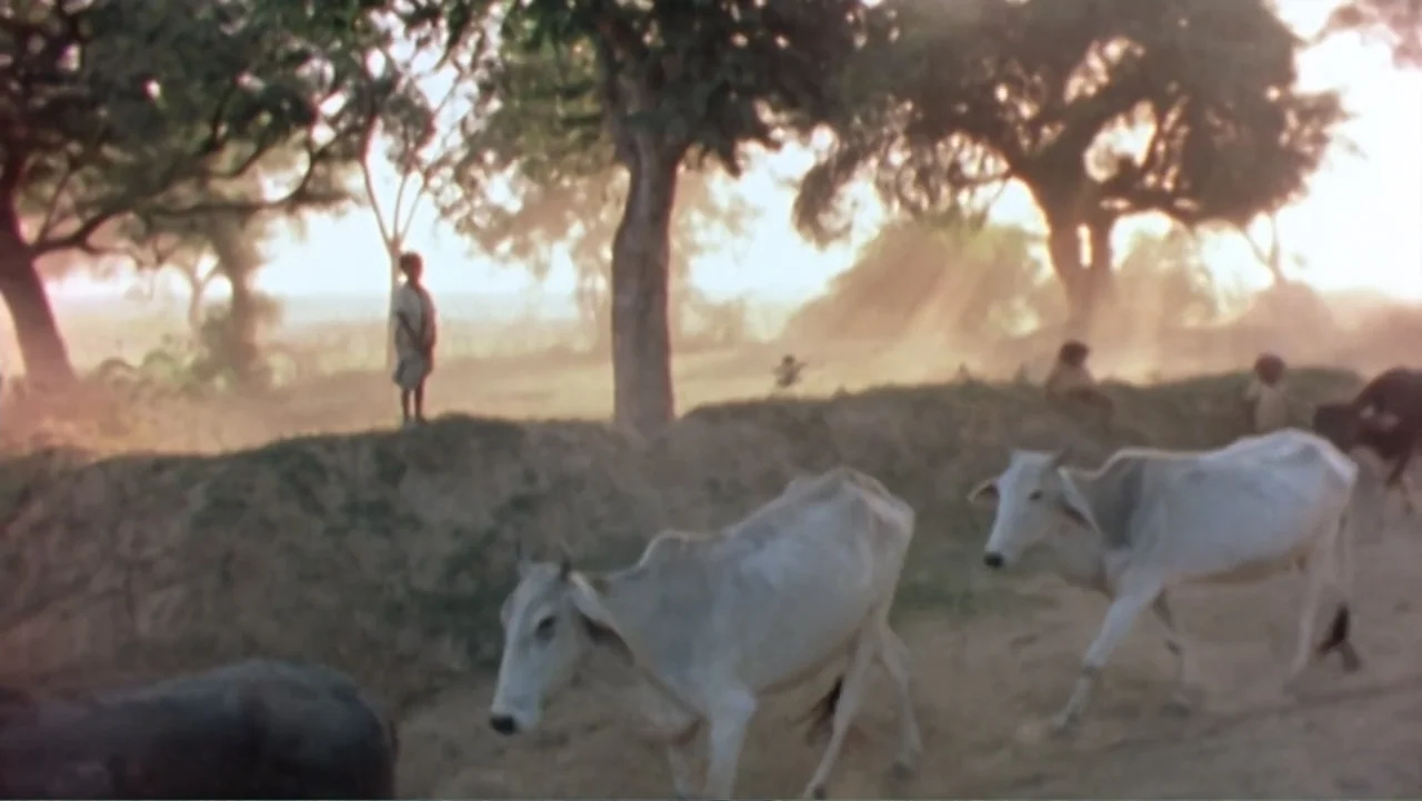 Hare Krishna! The Mantra, the Movement and the Swami Who Started It All (2017) movie still: wide — A dusty rural landscape features large trees and…